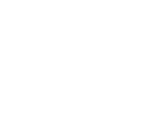 featherweight icon