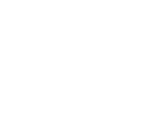 tested icon